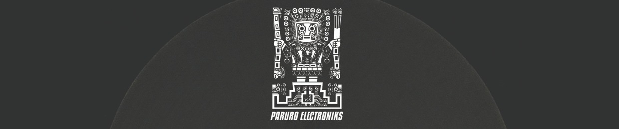 Paruro Electroniks