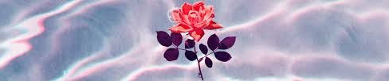 Webo_TheReal