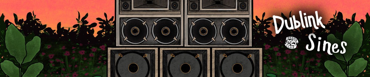 Dublink