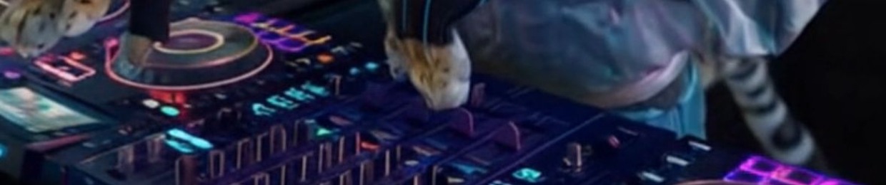 🐆  SPACE LEPRD  🐆