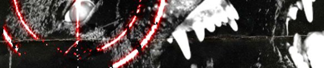 ☠︎⛧ ZER0XTHRASH ⛧☠︎ (@zer0xthrash)