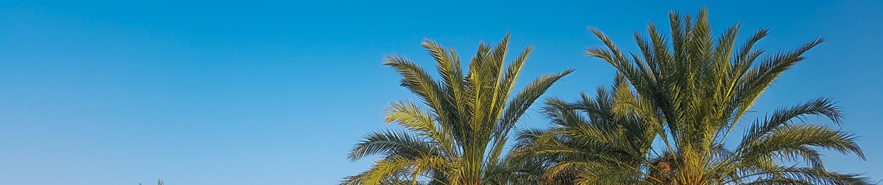 SHAH MEER MALANGZAI