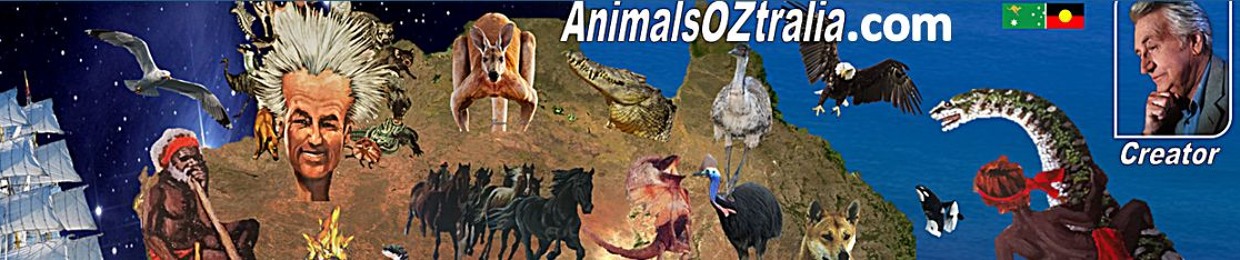 Animals Oztralia