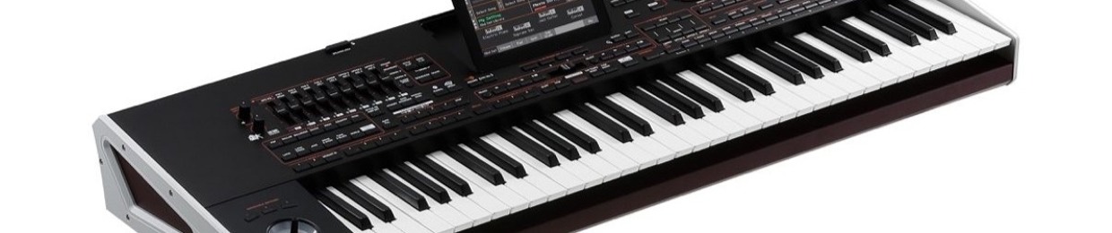 Hùng Nguyễn KORG Pa4X