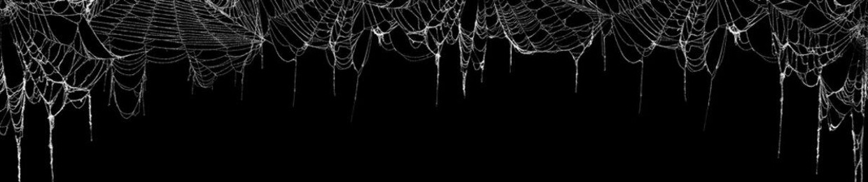 $PIDERWEB$