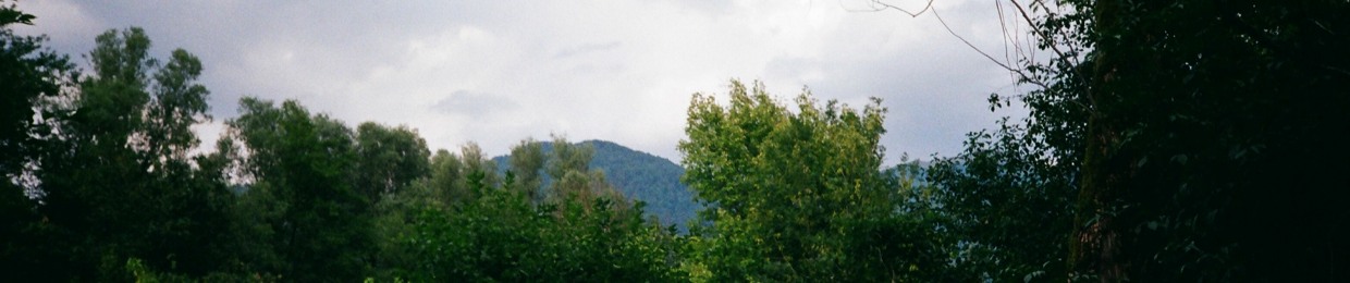 Boiler