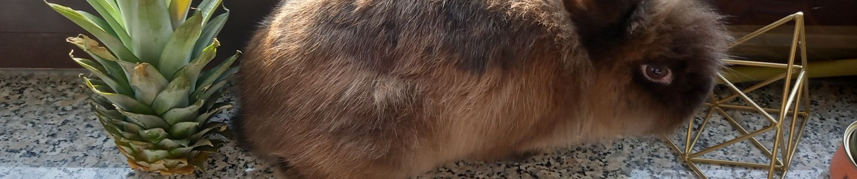 🏛 LABEL.Ā̷̺͝Ā®