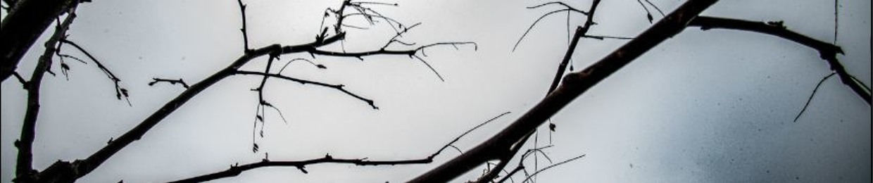 Toxicant Shadow