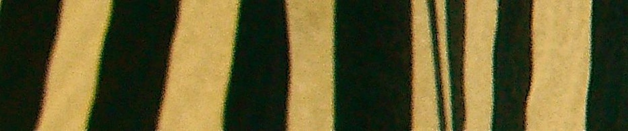 jor han