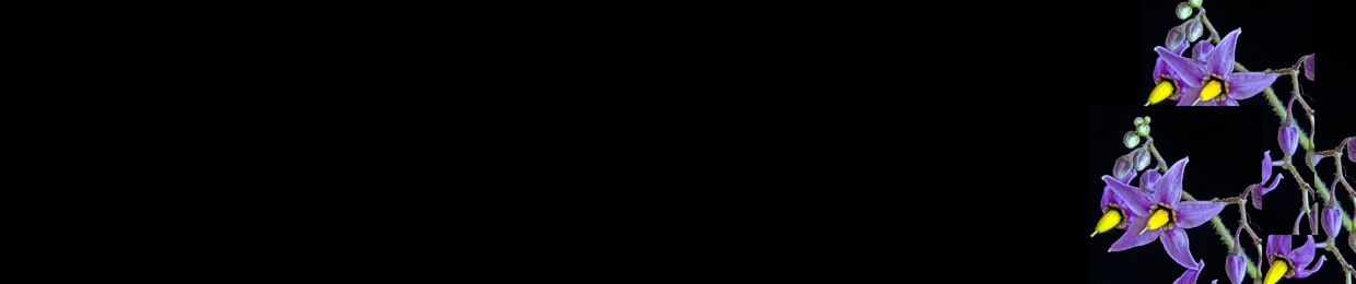 Night Shade