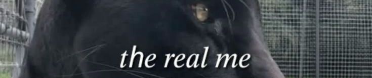 Download 17Hrts from soundcloud to mp3