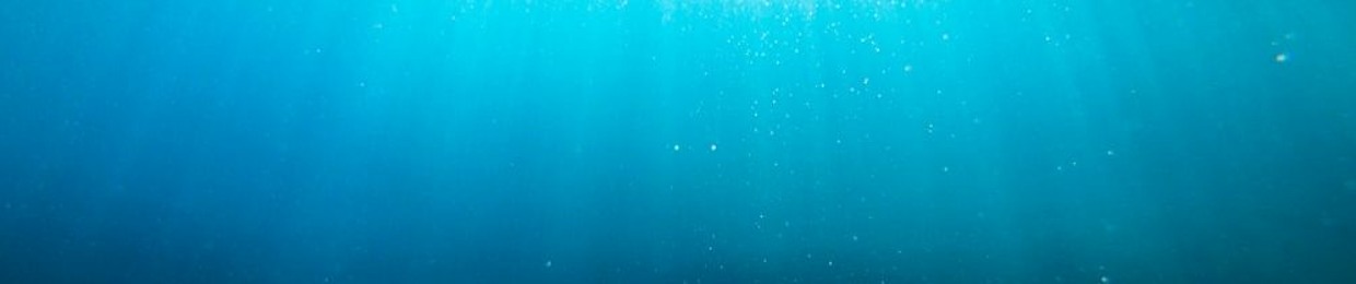 ThatUnderwaterDragon
