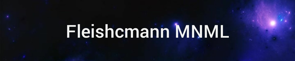 Fleischmann Mnml (Official)🎛️
