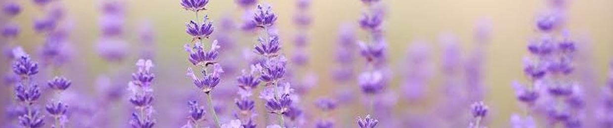 Lavender Melody by DJ Imelda