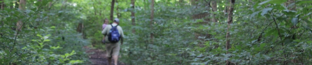 Called to Be Free Podcast