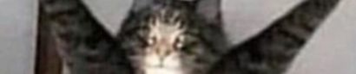 The Better Homeless Man