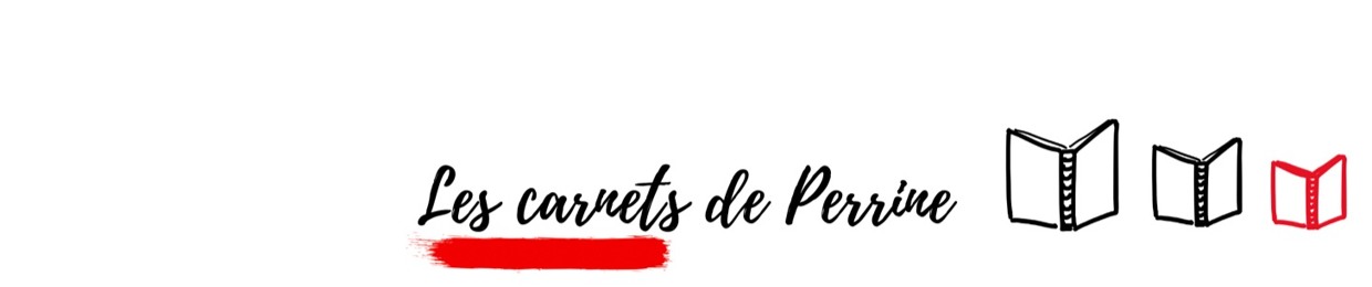 Les carnets de Perrine