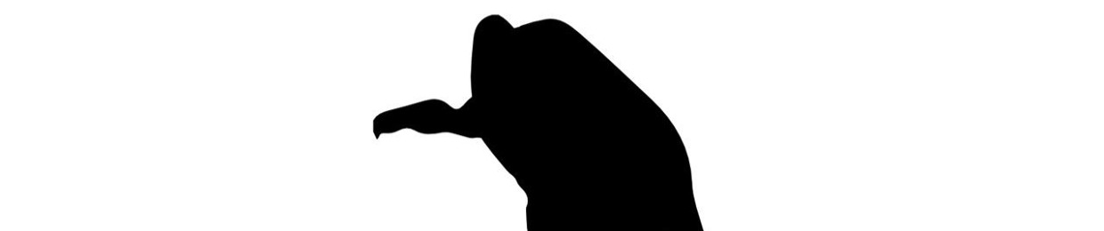 Vulture Entertainment