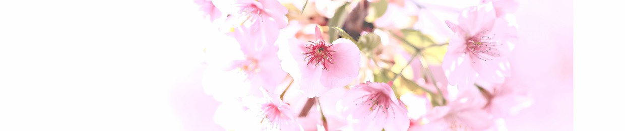 松岡祐貴Yutaka Matsuoka