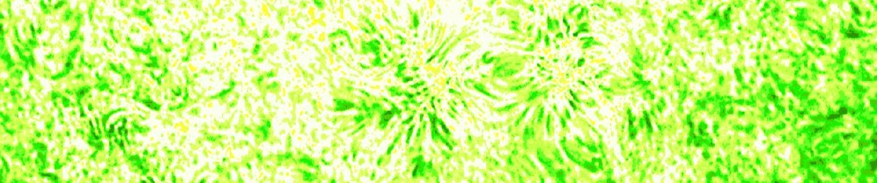venula