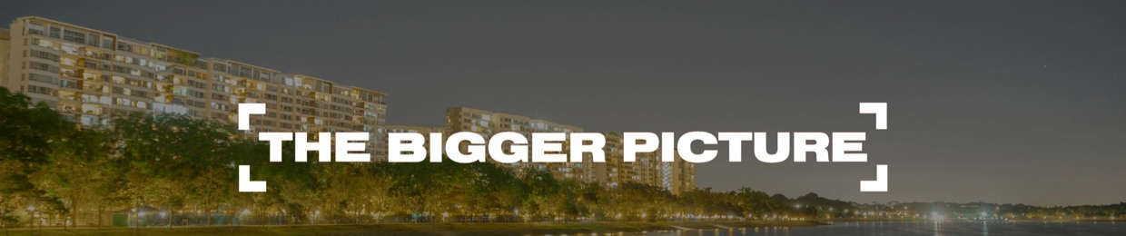 THEBIGGERPICTURE