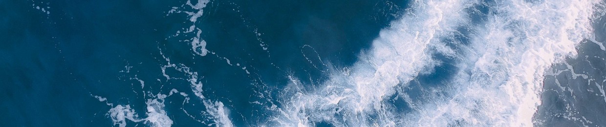 Blue De Daisy