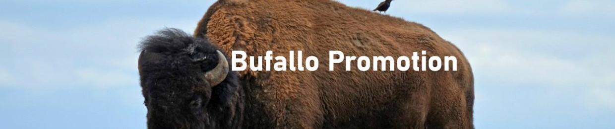Buffalo Promotion