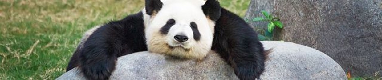 FKNPanda