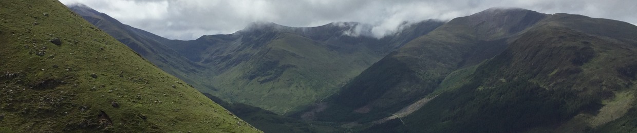 Tom OB (acoustic, folk and alternative)