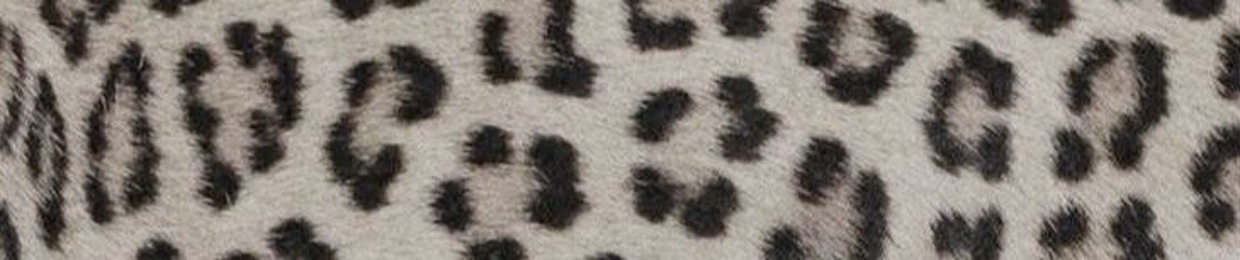 kruuger