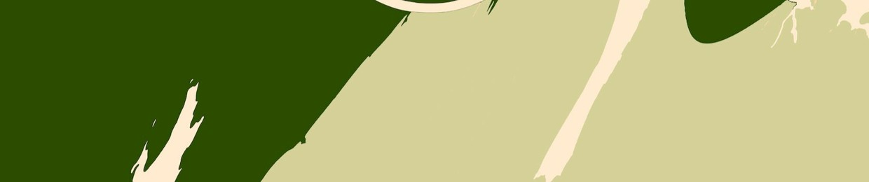 North Meets South Podcast