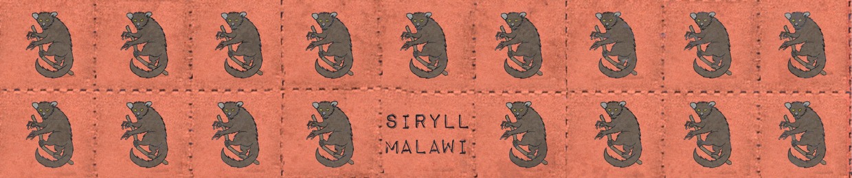 SirYLL