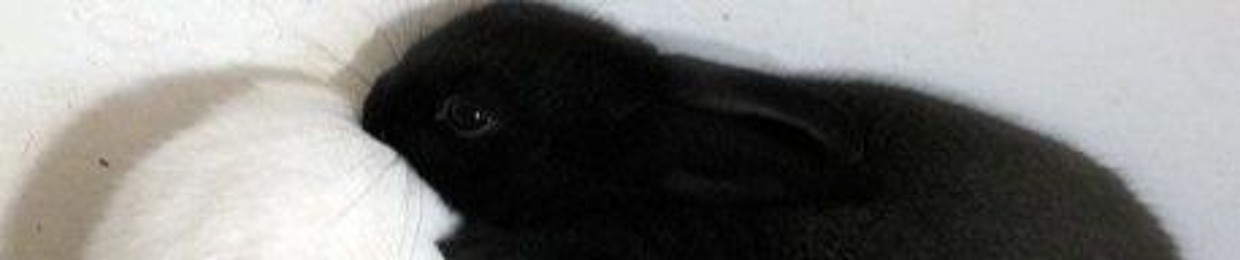 m҉e҉n҉t҉a҉l҉s҉e҉x҉