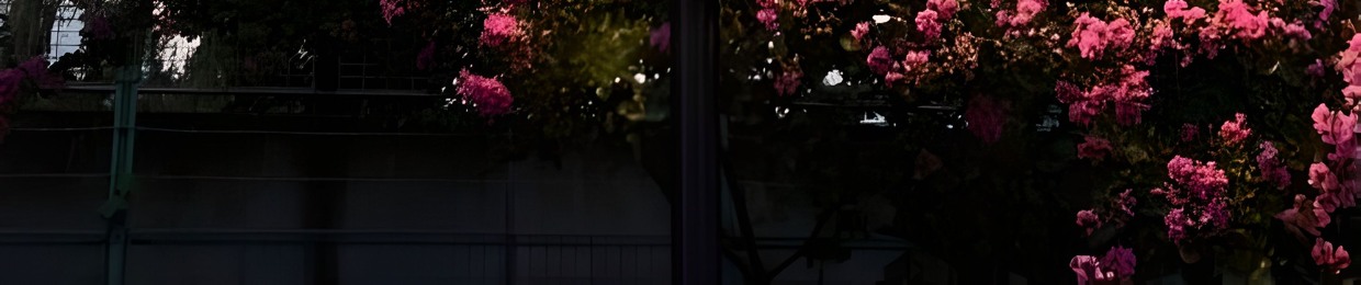LXFTY