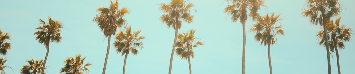 JP Hockley
