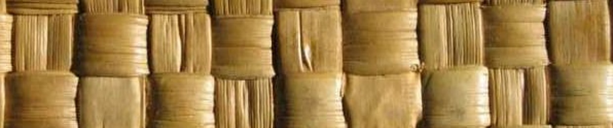 eltinajohn