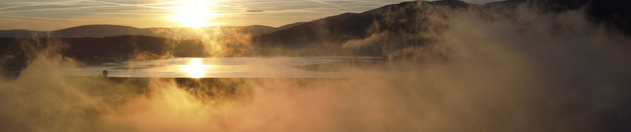 Bartek Wójcikiewicz