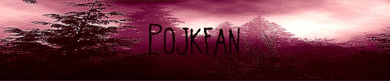 Pojkfan