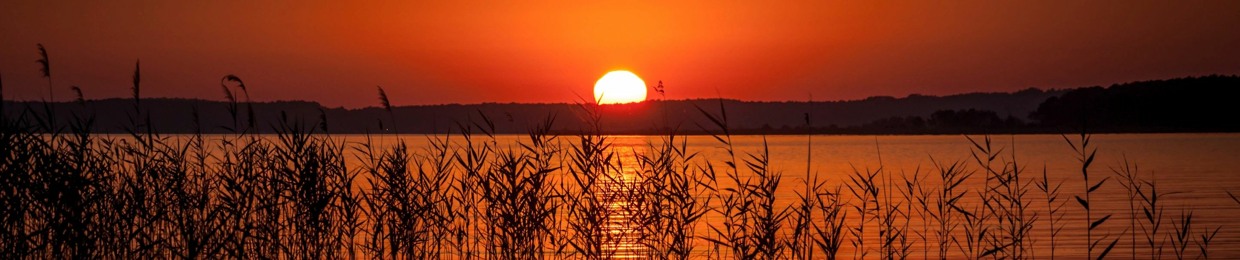 Иван Бобров