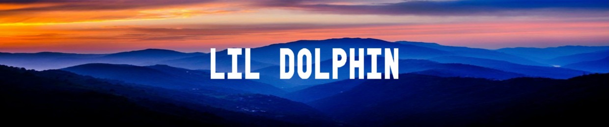 lil Dolphin