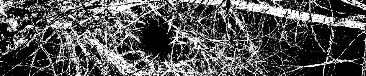 Winged Doom´s Silence