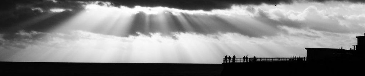 Millicent's Favourite