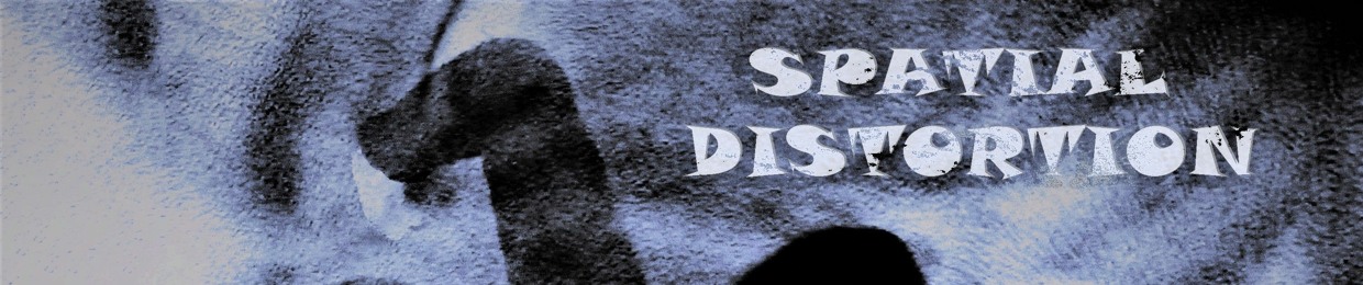 Spatial Distortion