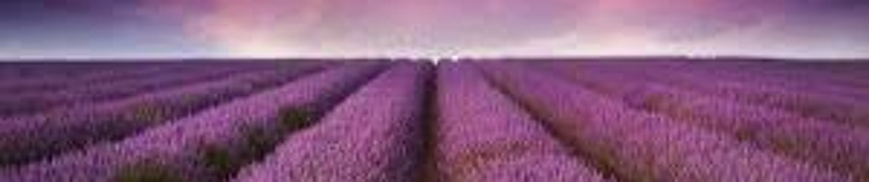 User 161716169