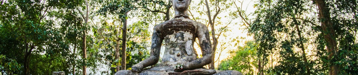 Gentle Guided Meditations - Ang Thomas Tran