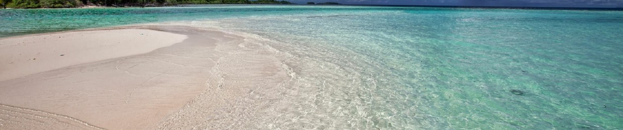 Ina Rusu Music Official