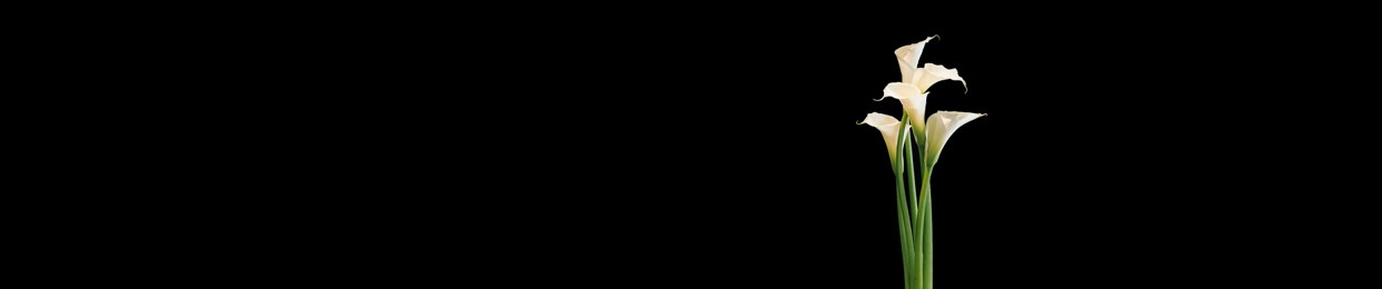 WEPLAIN