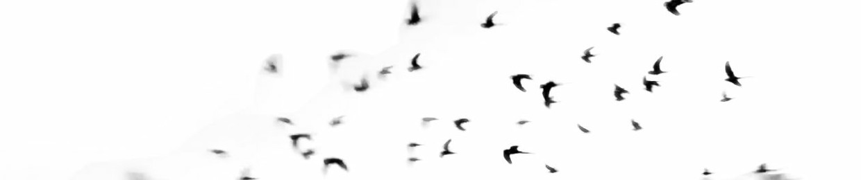 The Birds That Mimic Solitude