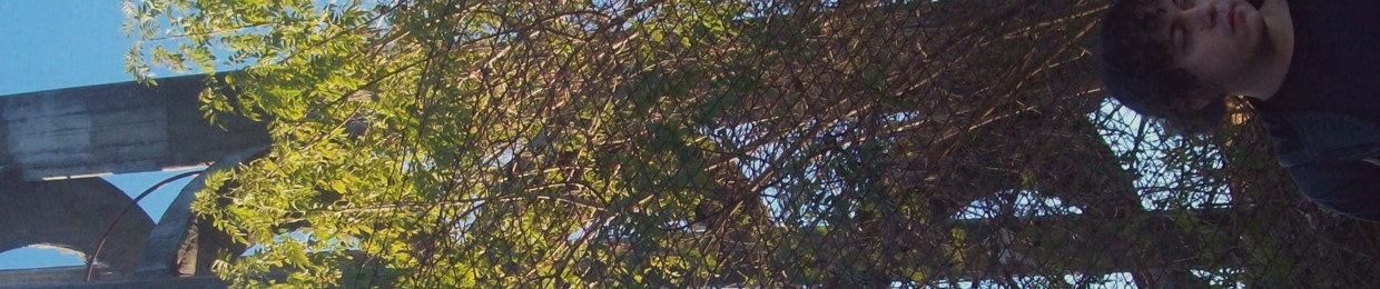 mis sueños son de tu adiós