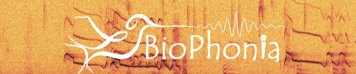 BioPhonia